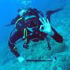 Picture taken during the dive