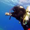 Picture taken during the dive