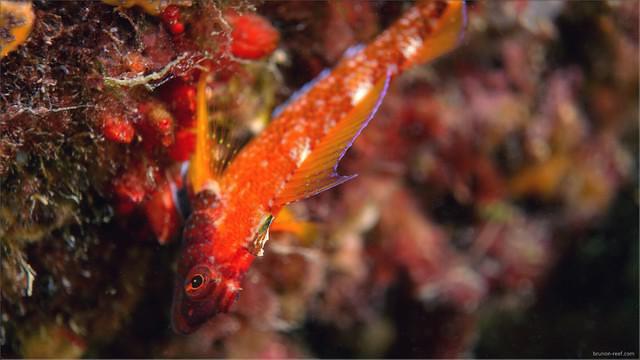 Simply Diving - Dive Center in Spain