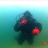 Picture taken during the dive