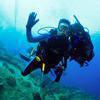 Picture taken during the dive