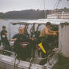 Picture taken during the dive