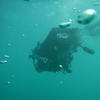 Picture taken during the dive