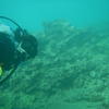 Picture taken during the dive
