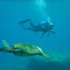 Picture taken during the dive