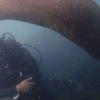 Picture taken during the dive