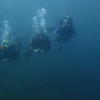 Picture taken during the dive