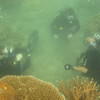 Picture taken during the dive