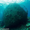 Picture taken during the dive