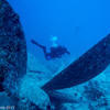 Picture taken during the dive