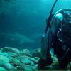Picture taken during the dive
