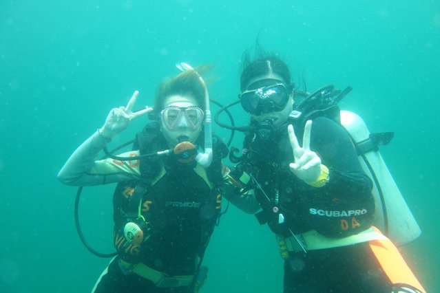 Diving Adventure Limited - Dive Center in Hong Kong