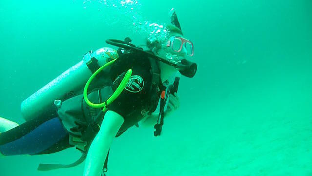 Tarpoon Lagoon - Dive Center in United States