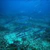Picture taken during the dive