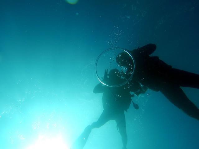 Palawan Divers - Dive Center in Philippines