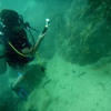 Picture taken during the dive