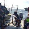 Picture taken during the dive