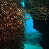 Picture taken during the dive