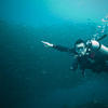 Picture taken during the dive