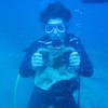 Picture taken during the dive