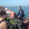 Picture taken during the dive