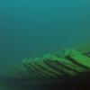 Picture taken during the dive