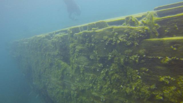 Divers Den - Dive Center in Canada
