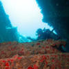 Picture taken during the dive