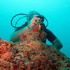 Picture taken during the dive