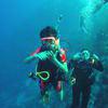 Picture taken during the dive