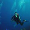 Picture taken during the dive