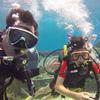 Picture taken during the dive