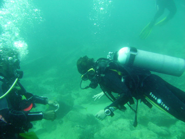 Orca Dive Club Caboverde - Dive Center in Cap-Vert