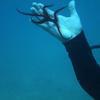 Picture taken during the dive