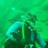 Picture taken during the dive