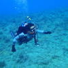 Picture taken during the dive