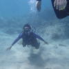 Picture taken during the dive