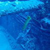 Picture taken during the dive