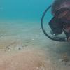 Picture taken during the dive