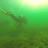 Picture taken during the dive