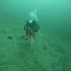 Picture taken during the dive