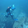 Picture taken during the dive