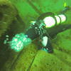 Picture taken during the dive