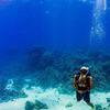 Picture taken during the dive