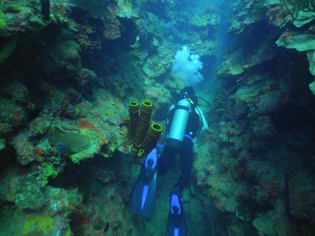 Ocean Sports - Dive Shop in Puerto Rico