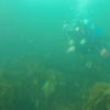 Picture taken during the dive