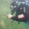 Picture taken during the dive