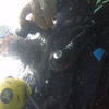 Picture taken during the dive