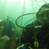 Picture taken during the dive