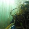 Picture taken during the dive